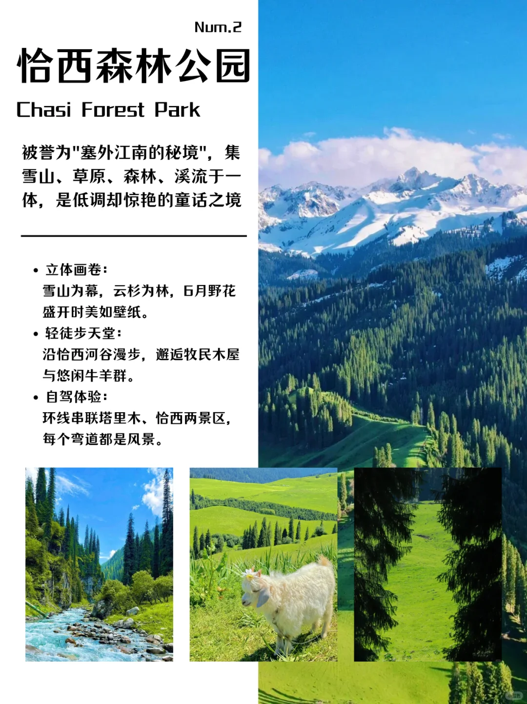 新疆旅游必打卡的九大景点‼️你都打卡了吗