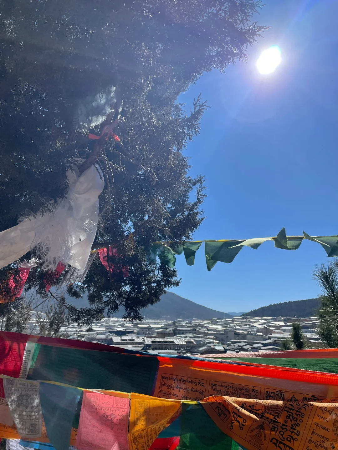 香格里拉漫游录:雪域秘境的呼吸与步履