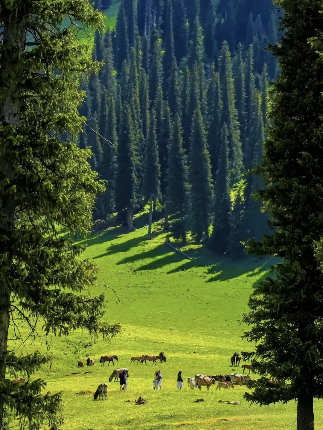 东方小瑞士,秘境大兴安岭