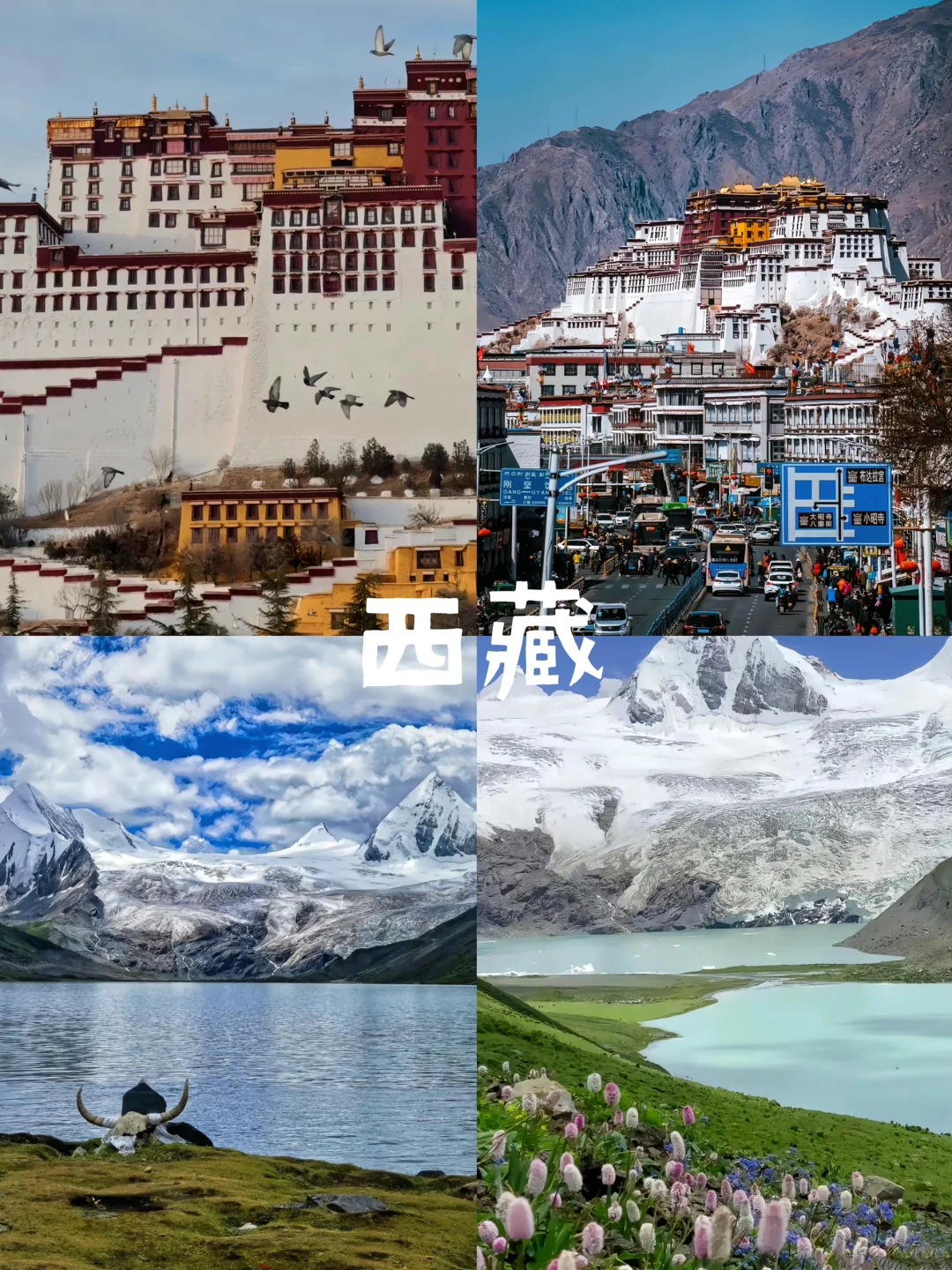 推荐9个旅行目的地‼️7-8月的避暑胜地