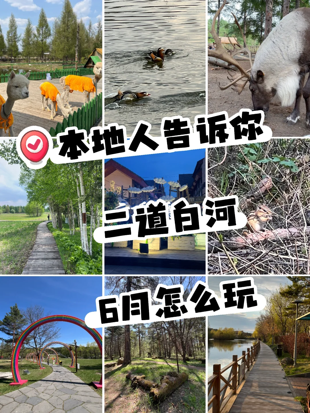 长白山北坡二道白河6月份旅游怎么玩攻略