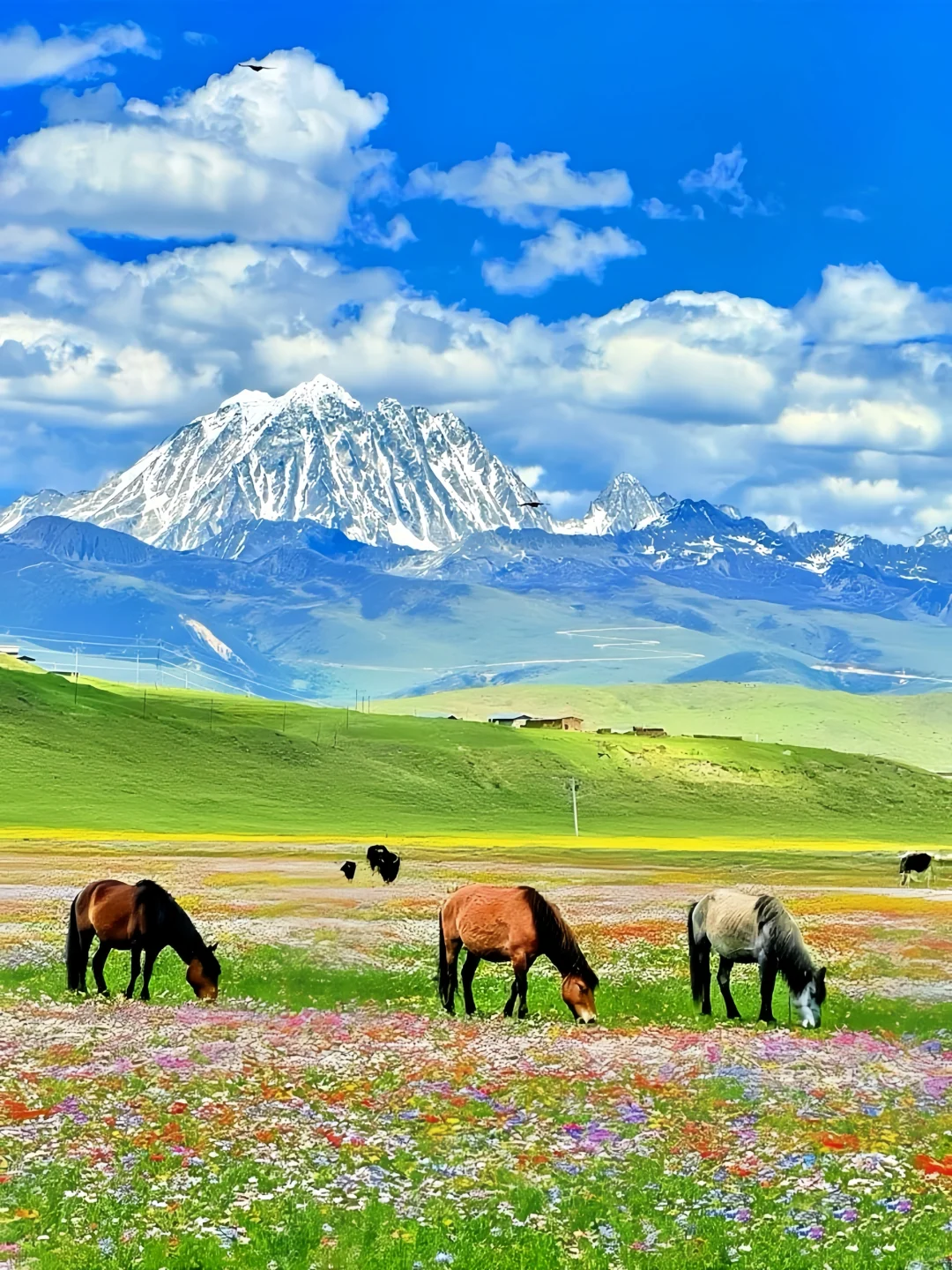 川西三天两晚!姑弄村➕甲根坝,攻略来咯……