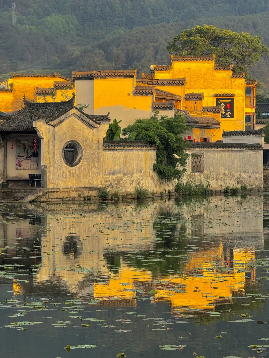 2024记忆存档｜我的年度封神live瞬间🎞️