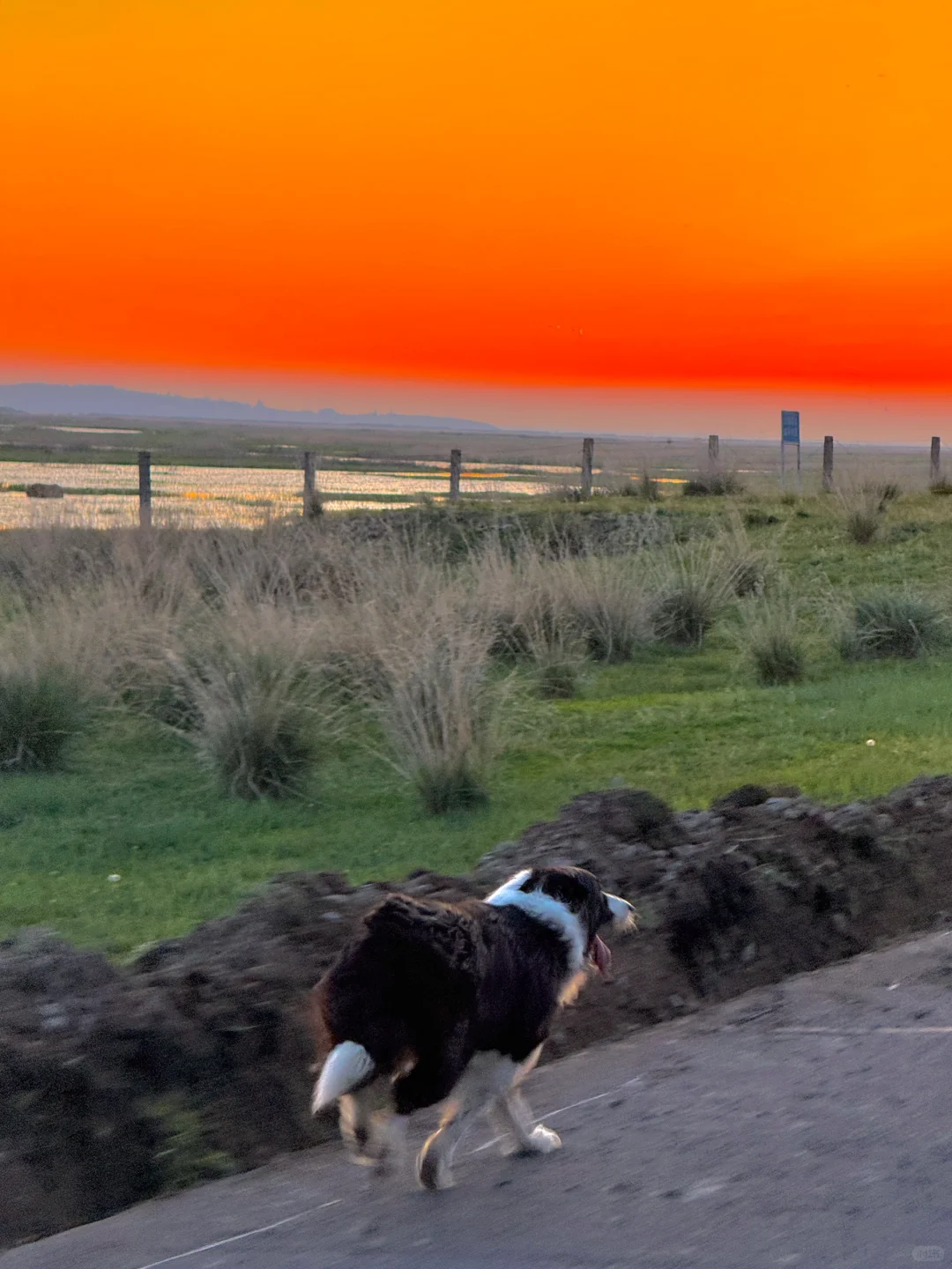 Welcome to China|呼伦贝尔 一生怀念的地方