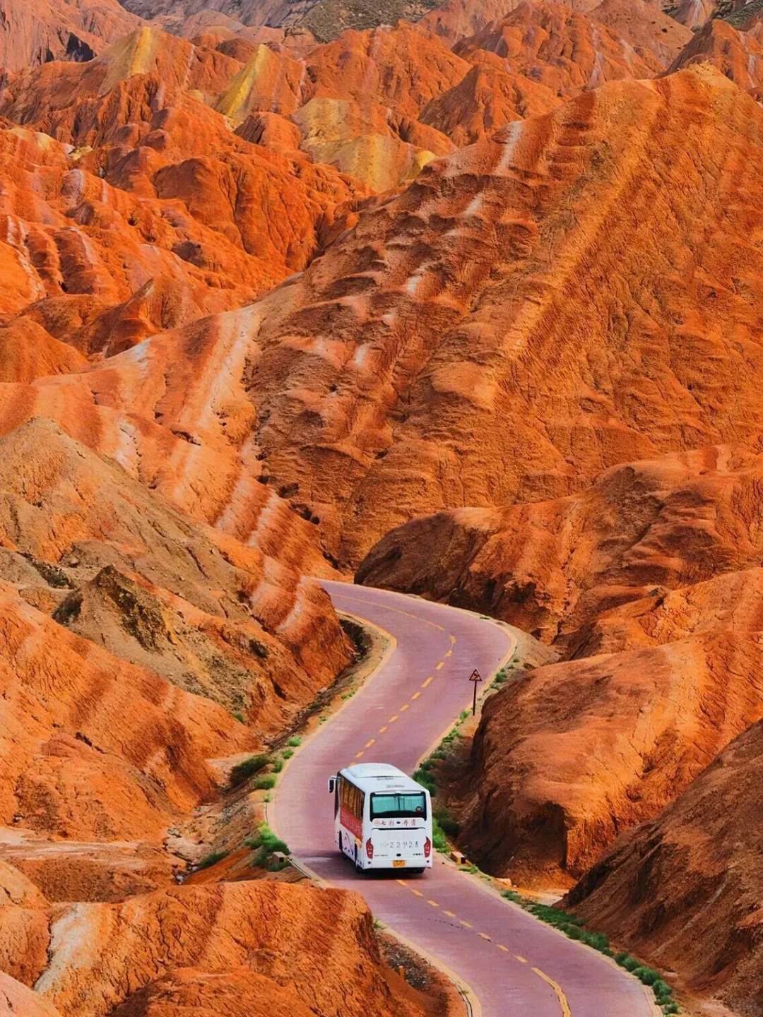 西北行结束！真心建议5-7月去，因为真的…