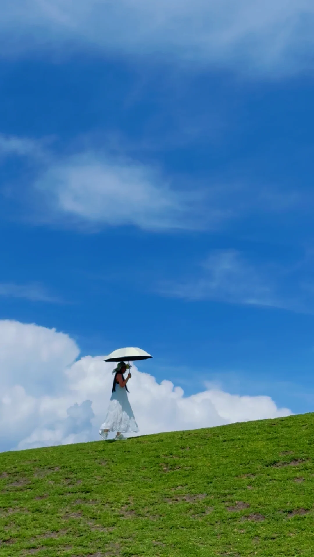 大草原的画作🎨🖌️🍃