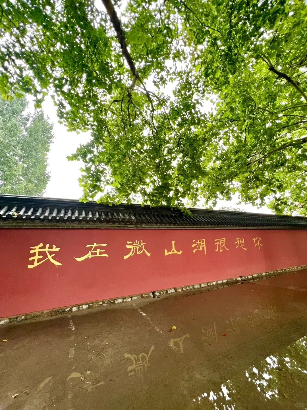 ✅山东济宁游玩|一篇攻略教你怎么玩