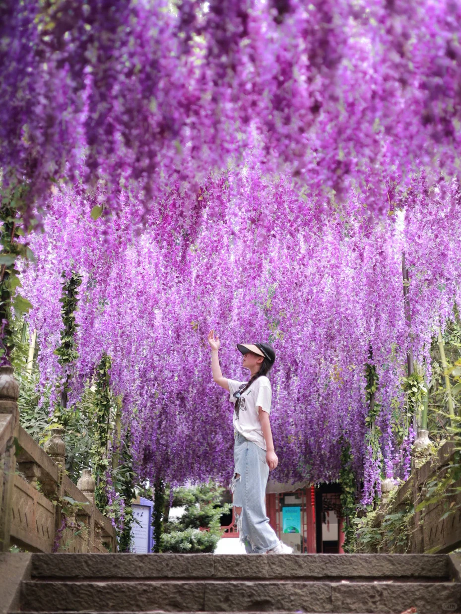 🔥暑假避暑天花板！天子地玩到不想回家！