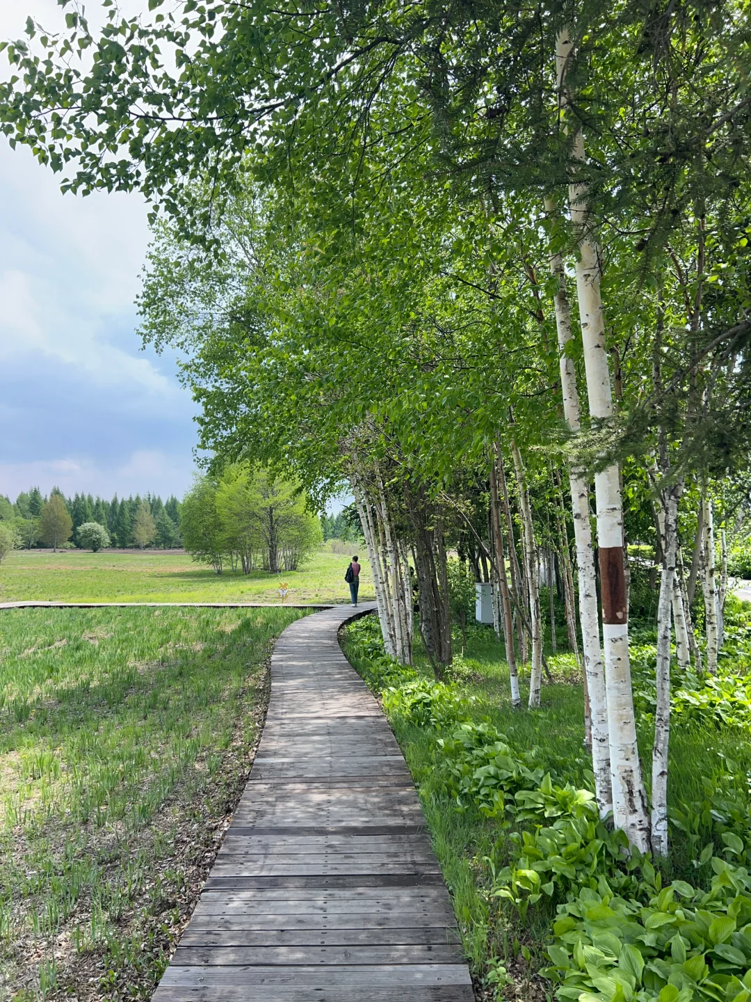 长白山北坡二道白河6月份旅游怎么玩攻略