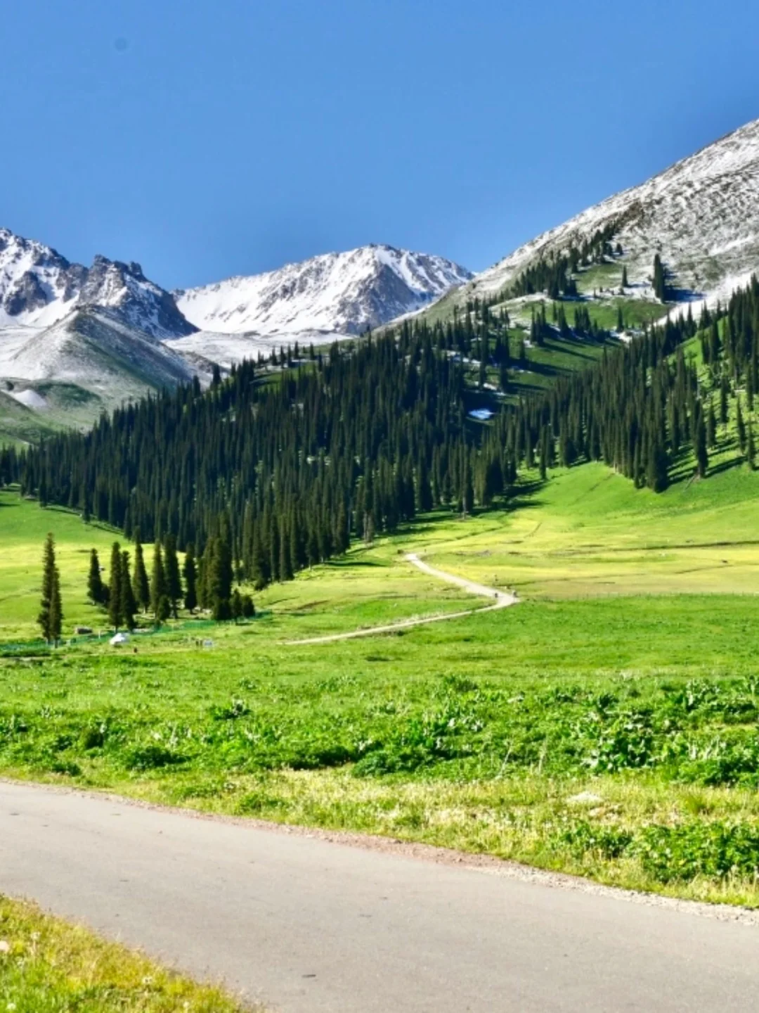 7-8月国内10个神仙避暑地，25℃夏天太爽啦