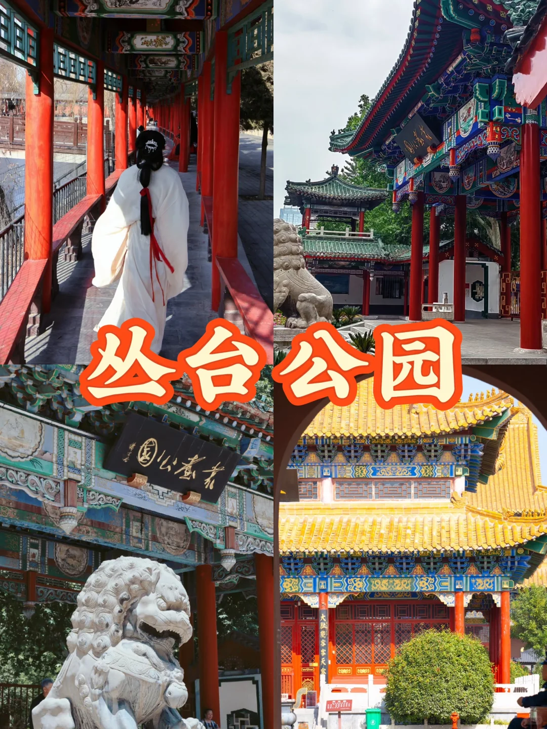 03女大📍邯郸两天一夜全攻略（穷鬼版