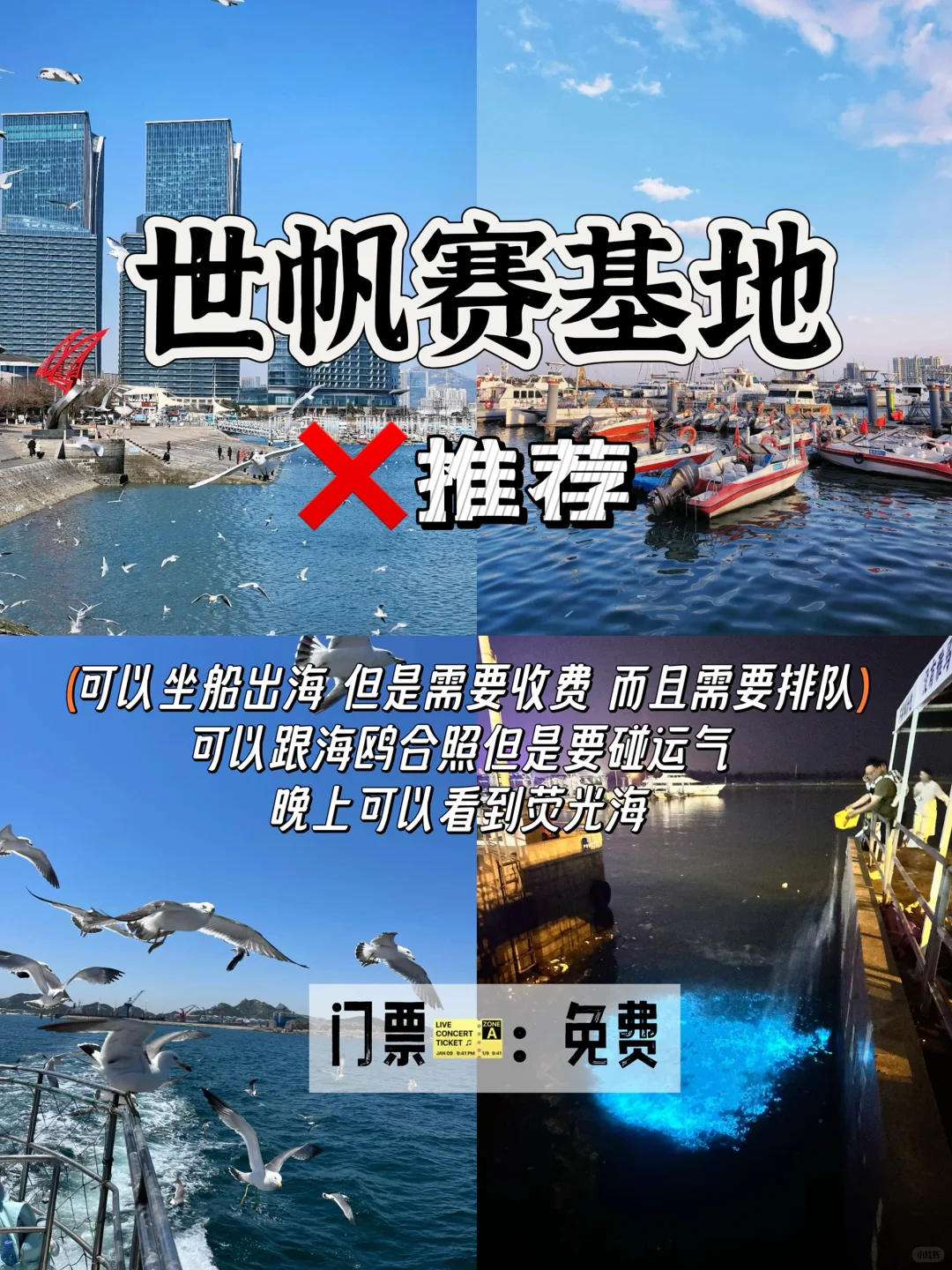 日照土著总结!只有这5️⃣个地方必去!(不踩雷