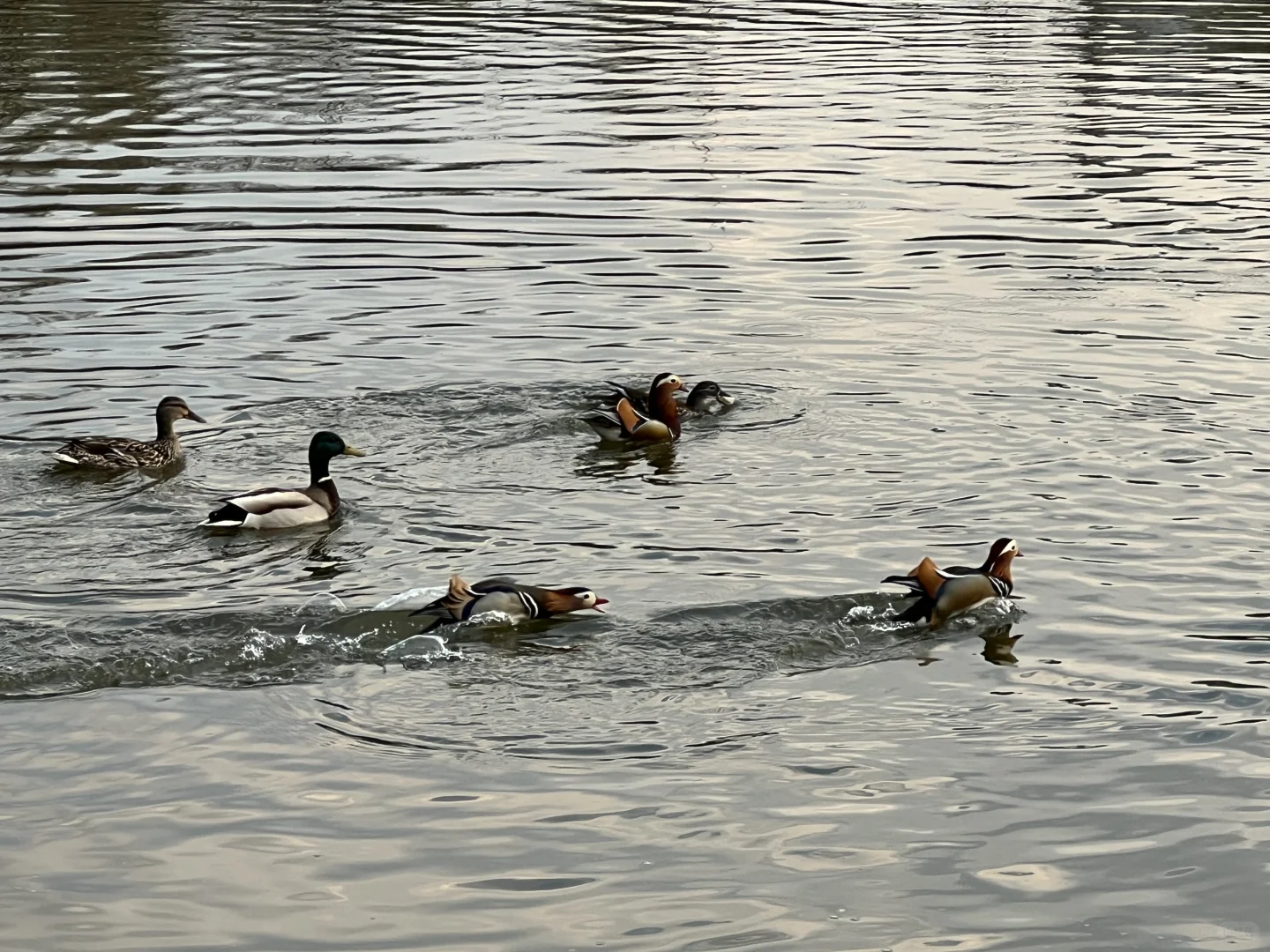 长白山北坡二道白河6月份旅游怎么玩攻略