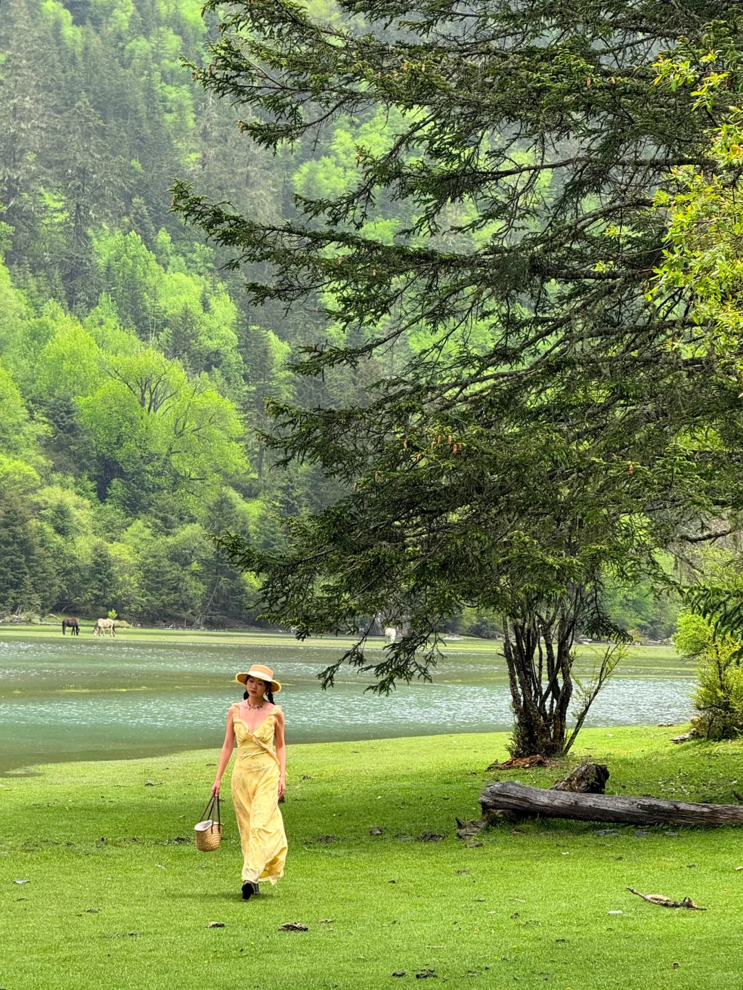 川西三天两晚!姑弄村➕甲根坝,攻略来咯……
