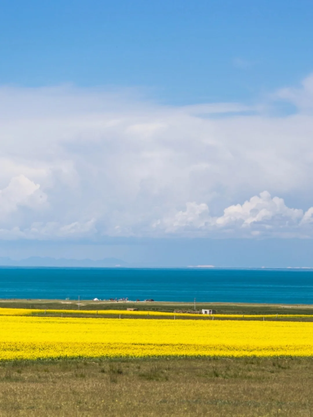 7-8月国内10个神仙避暑地，25℃夏天太爽啦