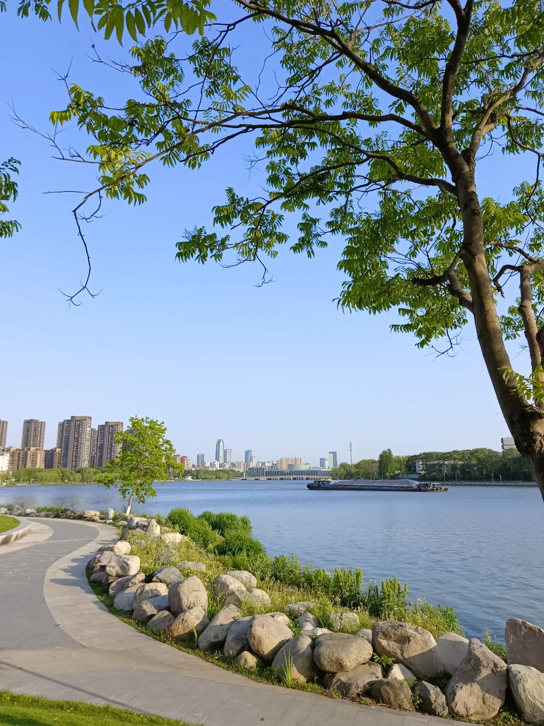 江边公园，好天气散散步吹吹风很治愈