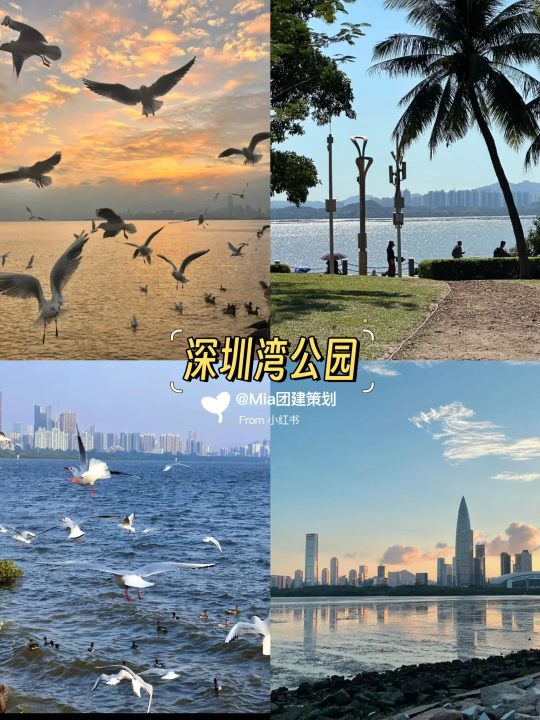 深圳Citywalk‼️本地人疯狂爆灯的打卡攻略💯