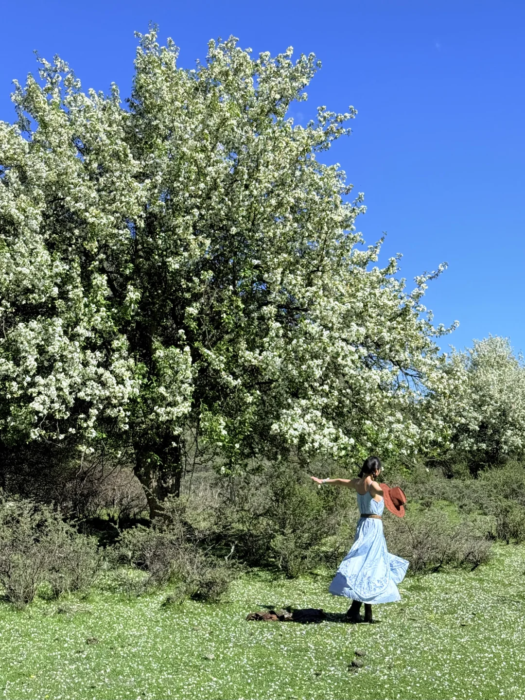 川西三天两晚!姑弄村➕甲根坝,攻略来咯……