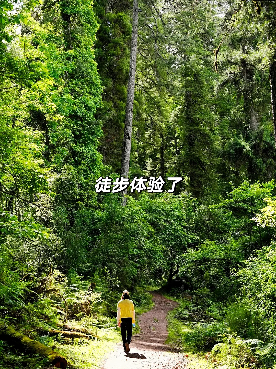 小红书没骗我！世界上最难抵达的地方太震憾