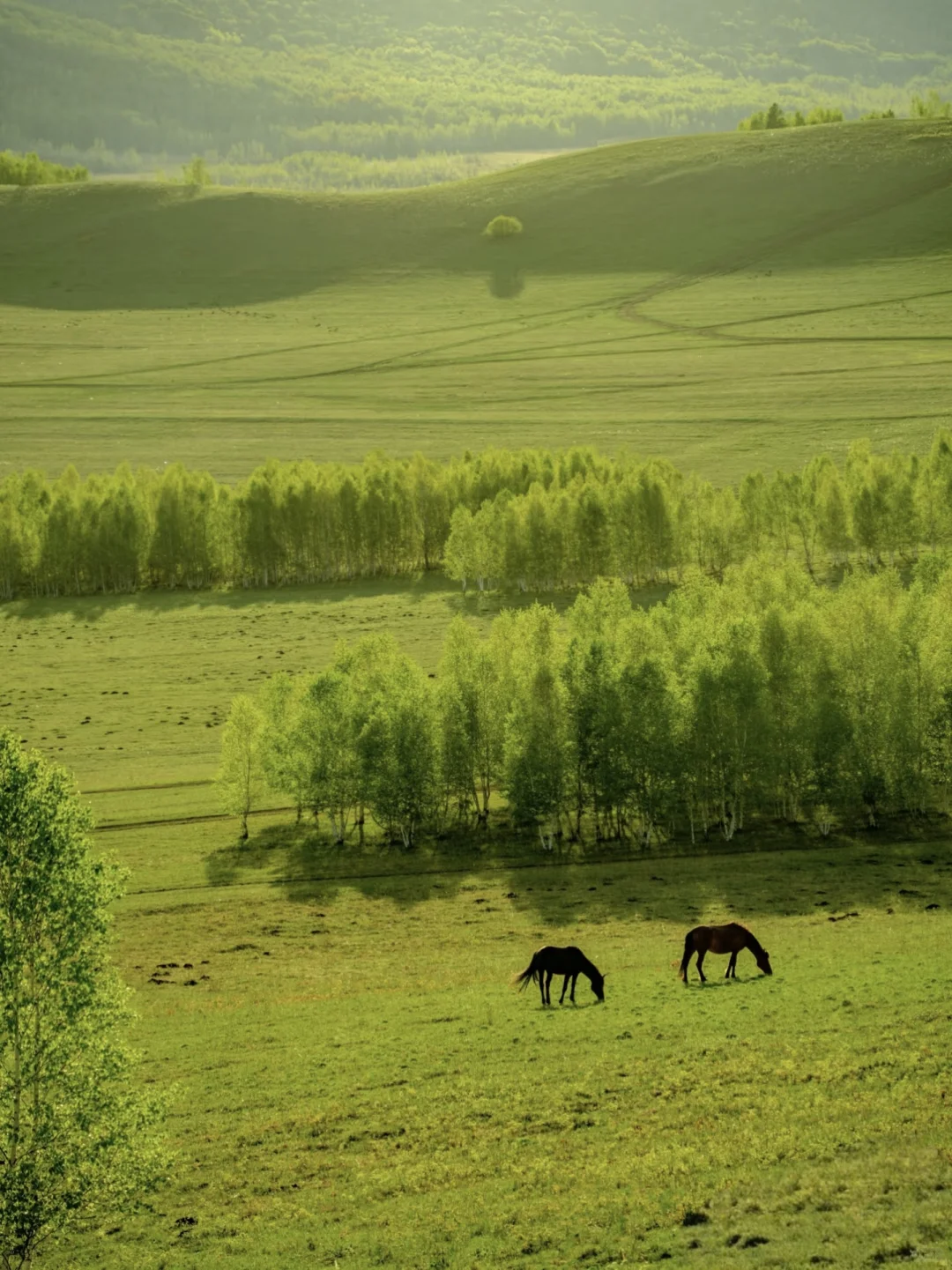 东方小瑞士,秘境大兴安岭