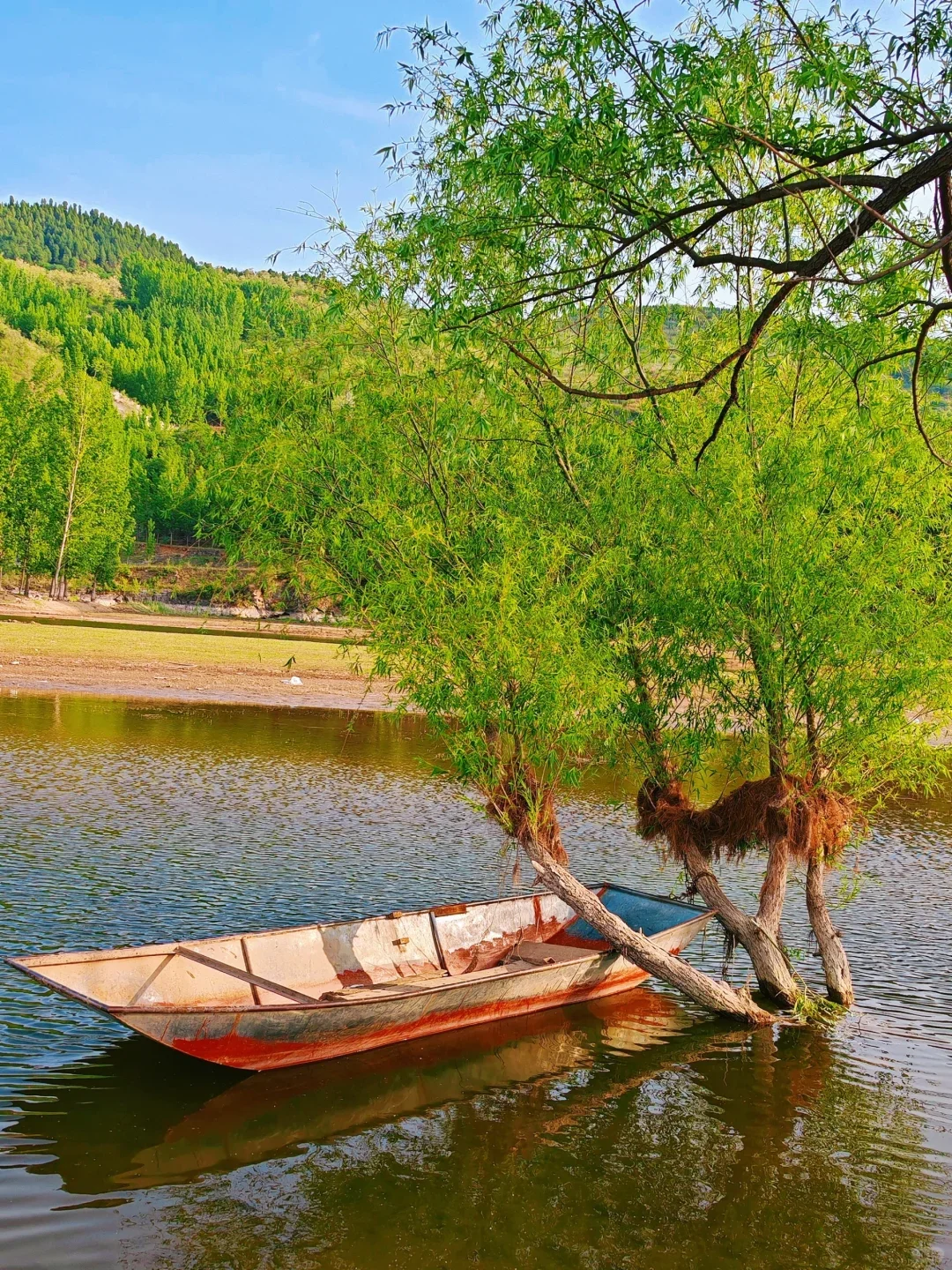 沂源🔥不允许还有人不知道这座小城💦