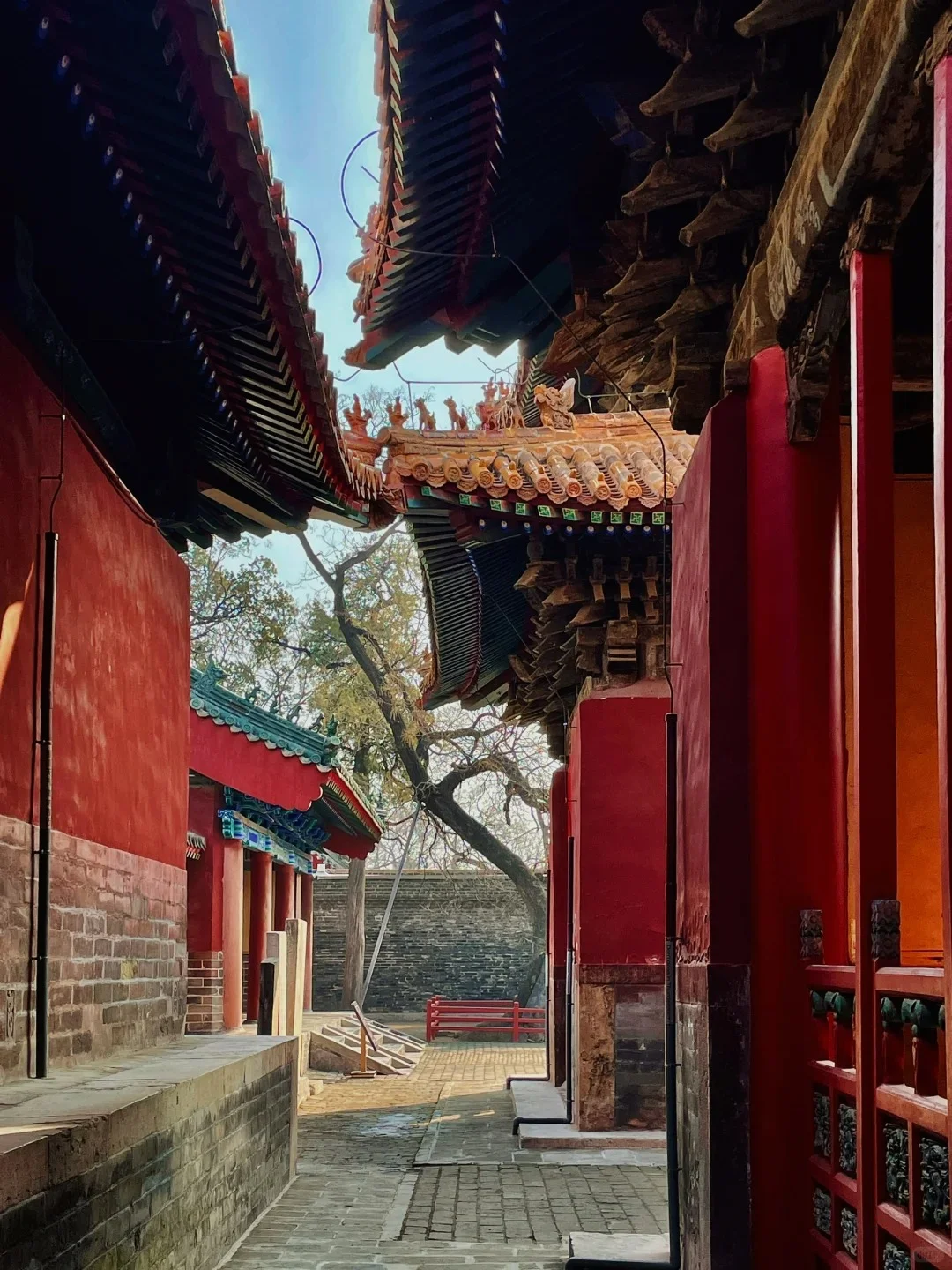 ✅山东济宁游玩|一篇攻略教你怎么玩