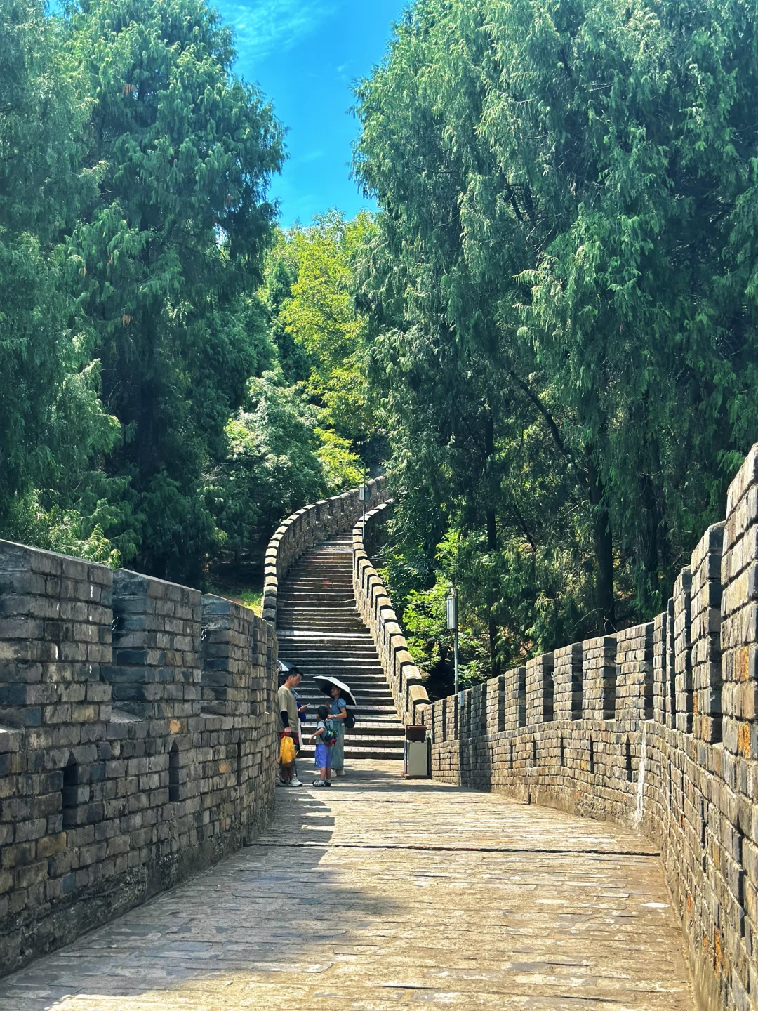 成都自己的长城!漂流🎢丛林过山车娃玩嗨了