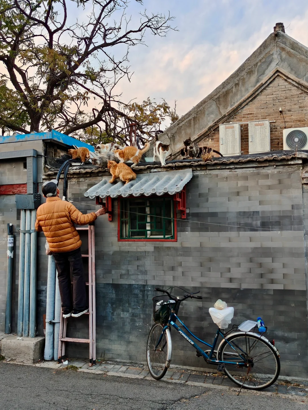 2024记忆存档｜我的年度封神live瞬间🎞️