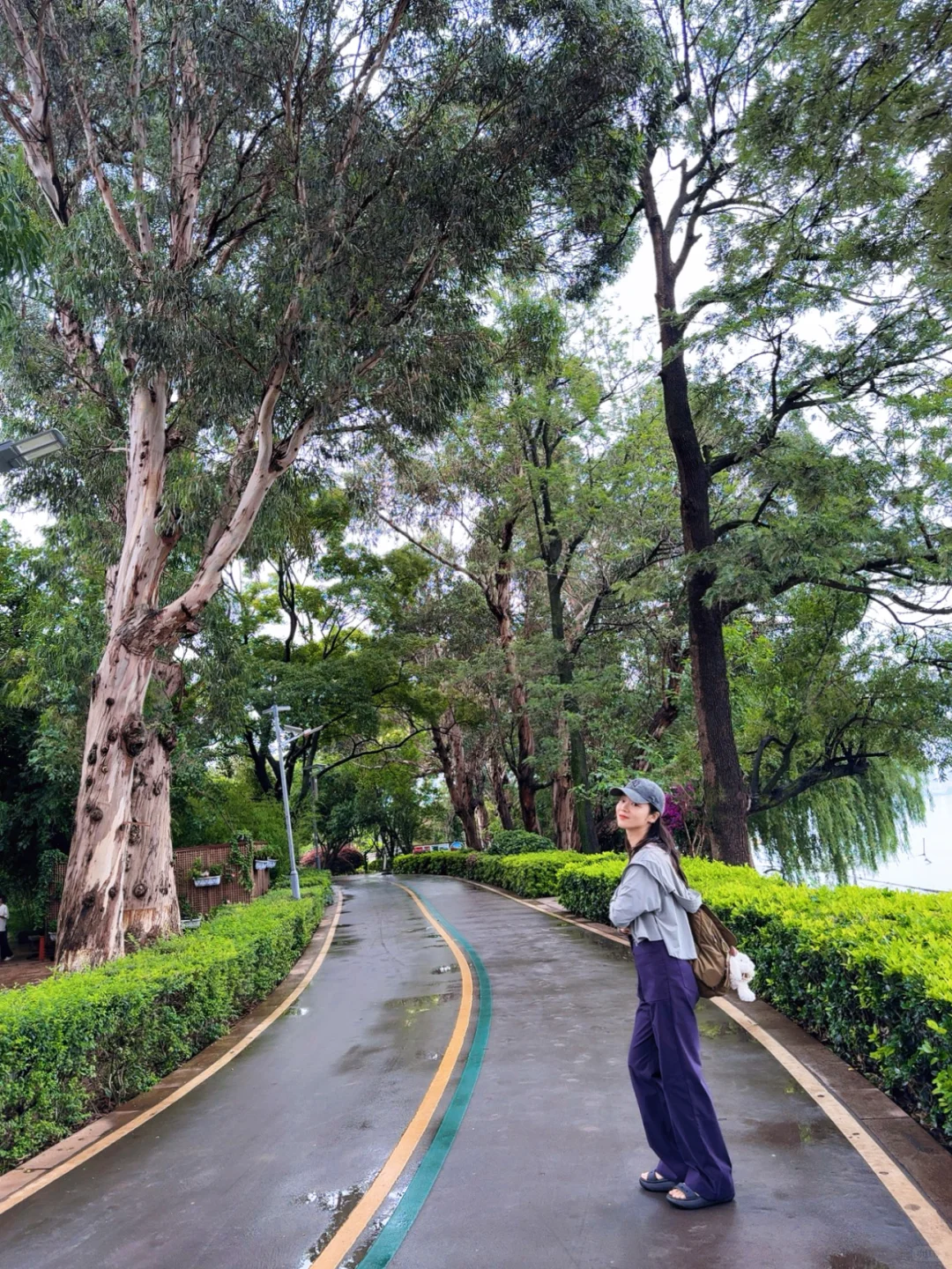 雨季滇池这么玩❗️不错过任何精彩 还不累❗️