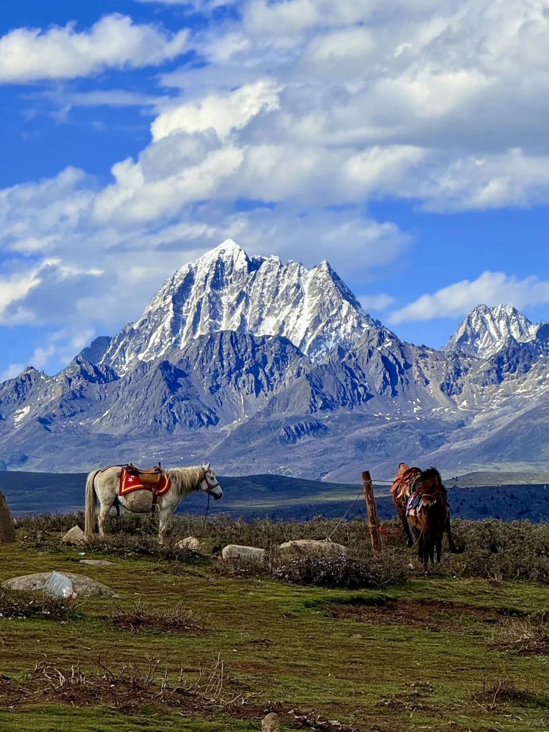 6.6📍川西已回，live实况直出，劝退不了