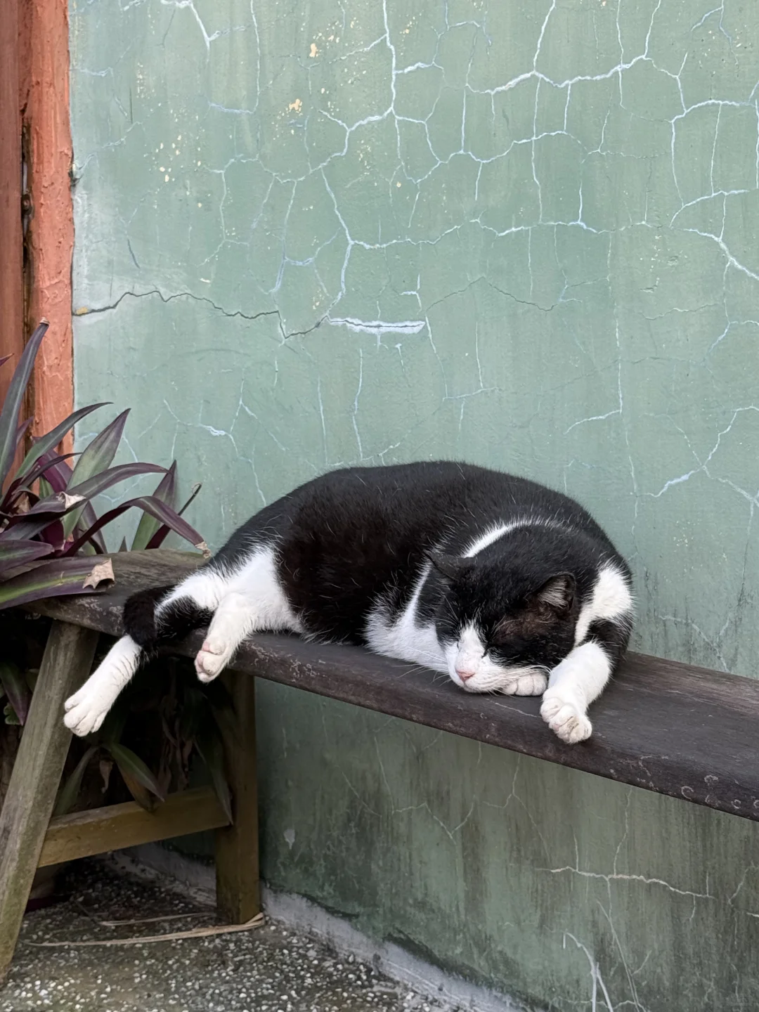 台北｜金山跳石