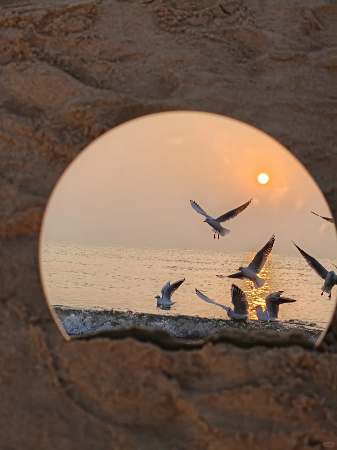 2024记忆存档｜我的年度封神live瞬间🎞️