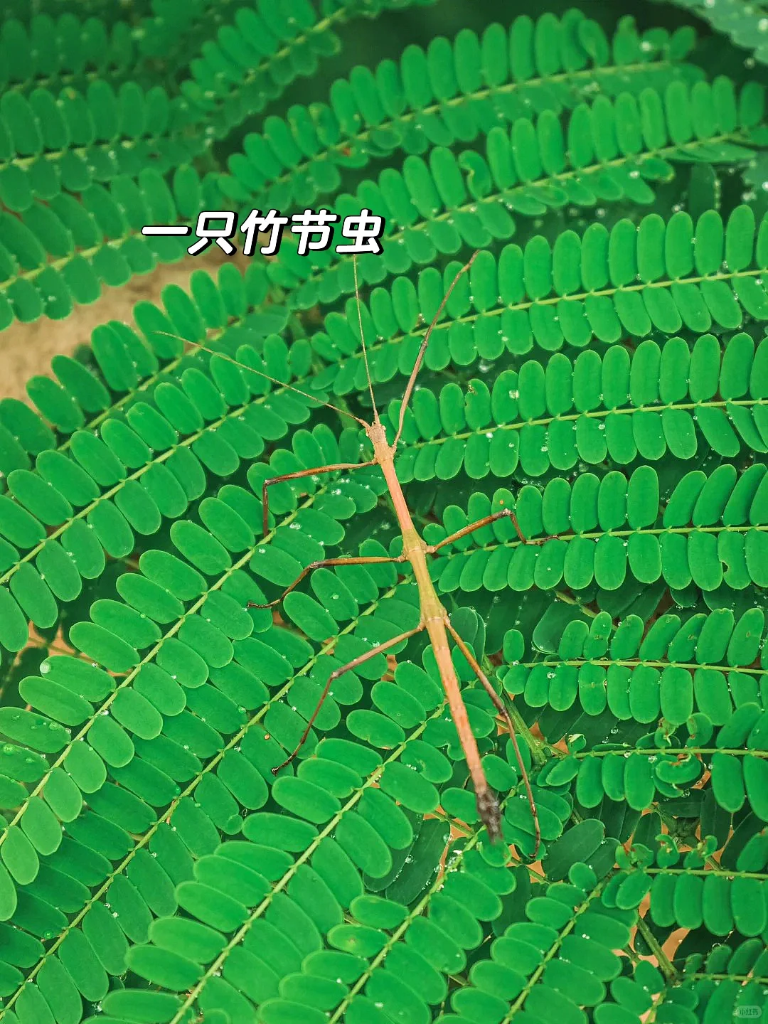 小红书没骗我！世界上最难抵达的地方太震憾