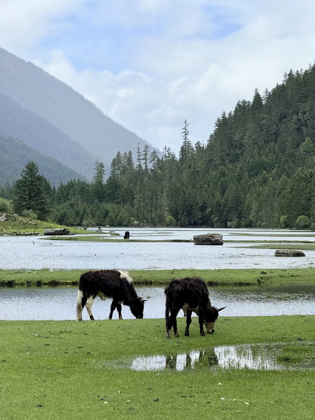 川西三天两晚!姑弄村➕甲根坝,攻略来咯……