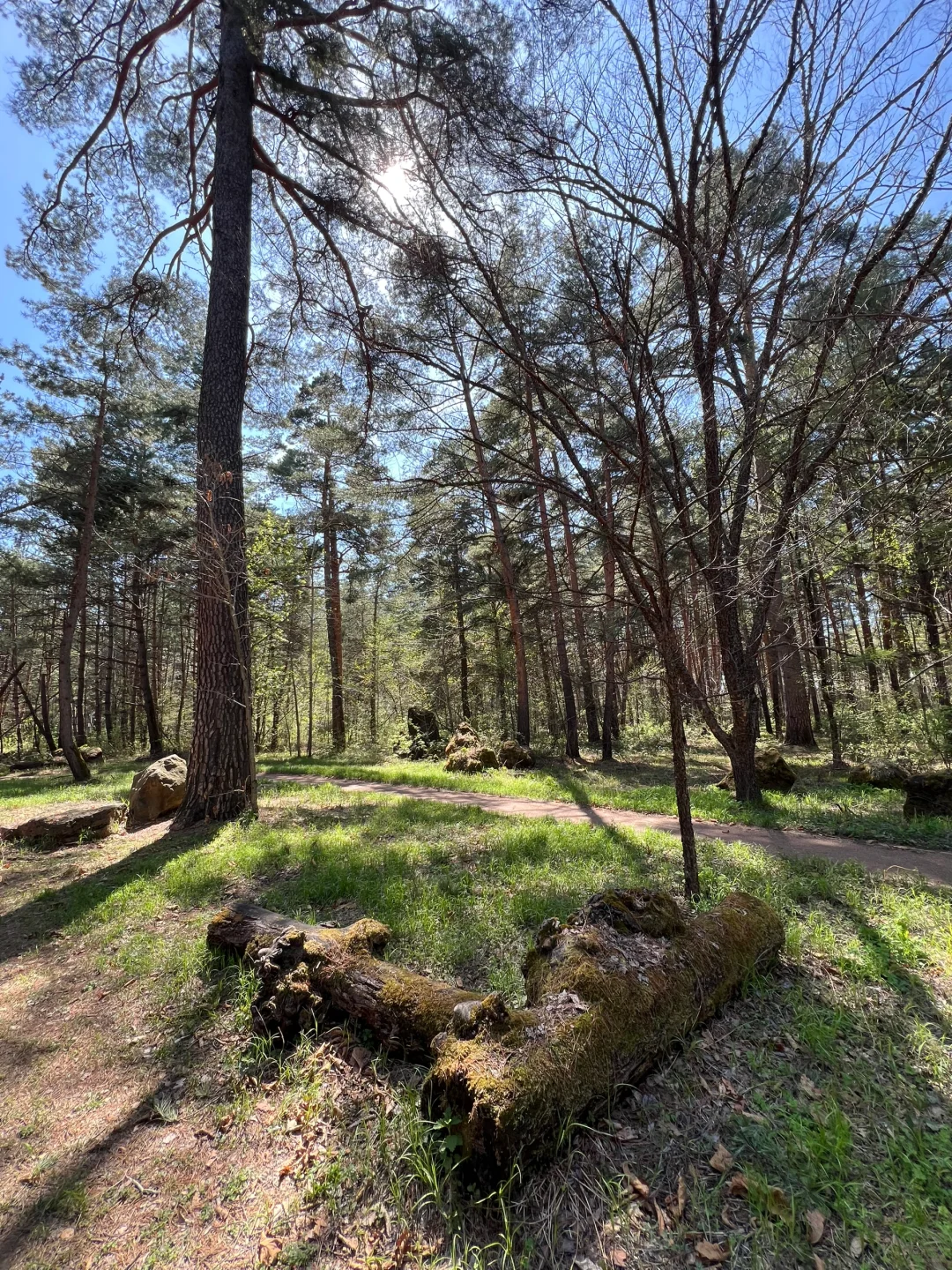 长白山北坡二道白河6月份旅游怎么玩攻略