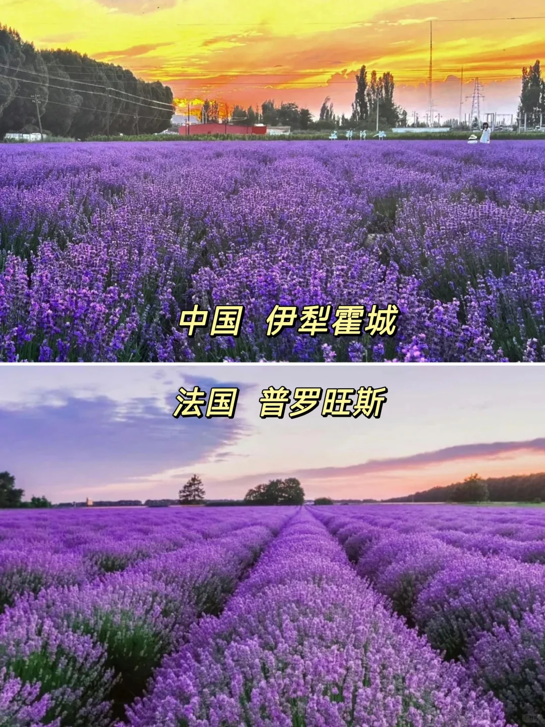 五一反向游｜国内藏着「世界级」风景