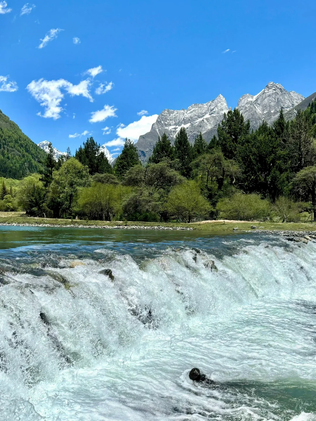 6.6📍川西已回，live实况直出，劝退不了