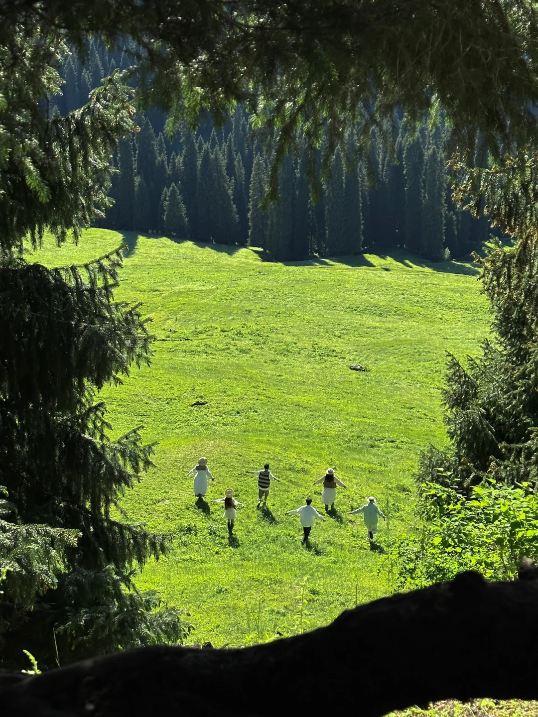 2024记忆存档｜我的年度封神live瞬间🎞️