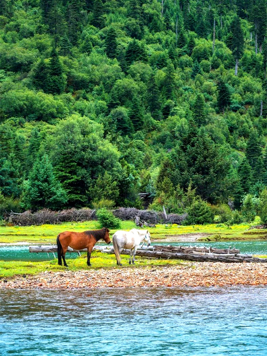 你敢信？国内8大避暑圣地让你冷到发抖！