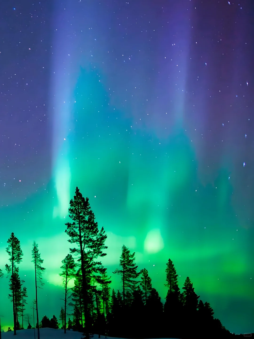 漠河极光🫐总要看场极光吧❗附旅游攻略！