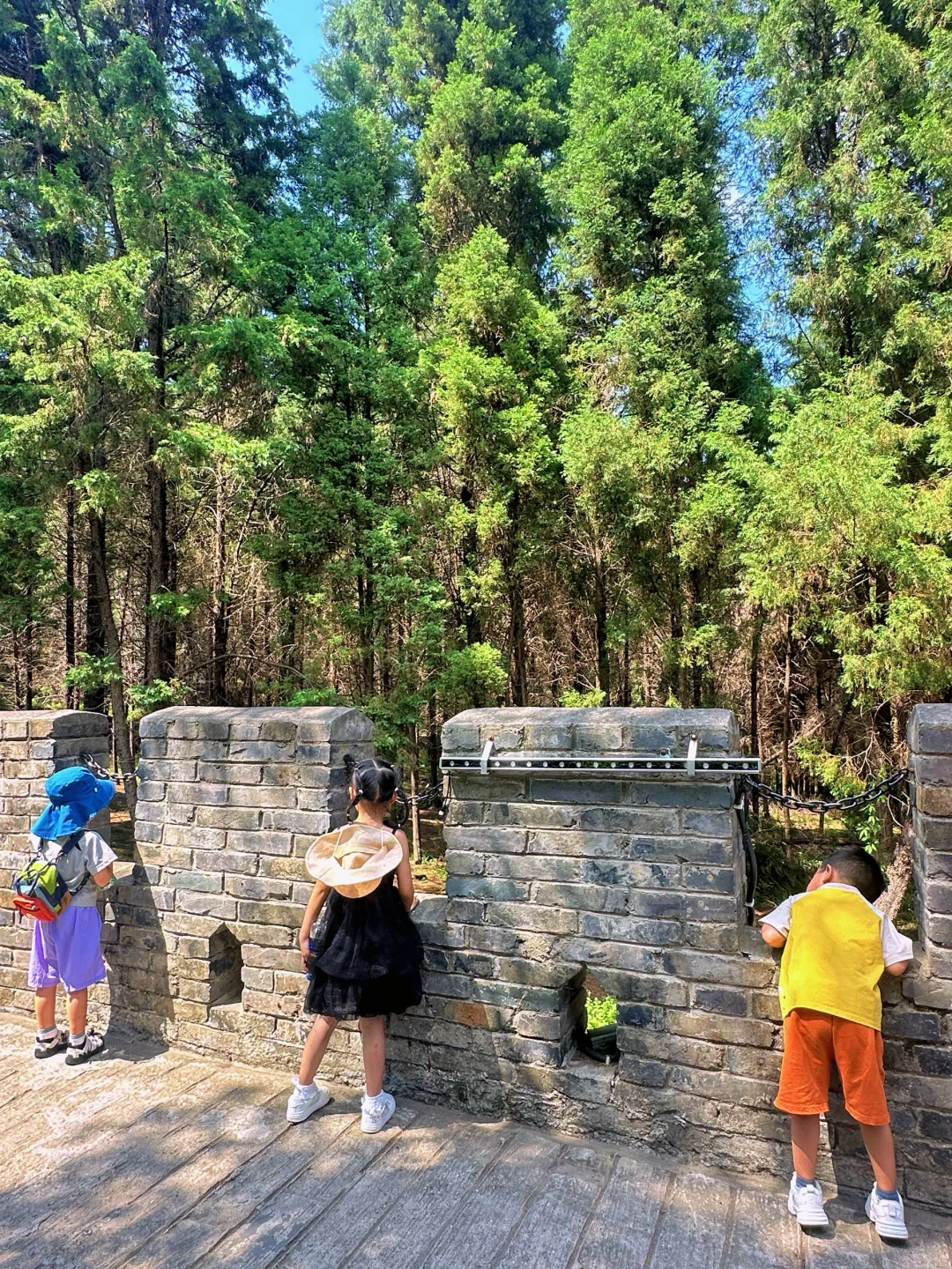 成都自己的长城!漂流🎢丛林过山车娃玩嗨了