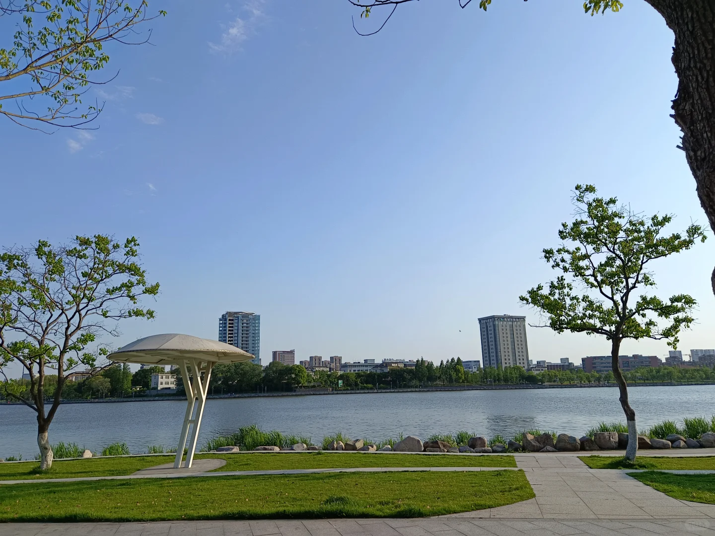 江边公园，好天气散散步吹吹风很治愈