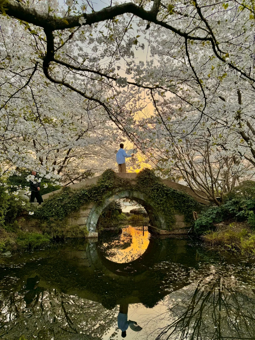 2024记忆存档｜我的年度封神live瞬间🎞️