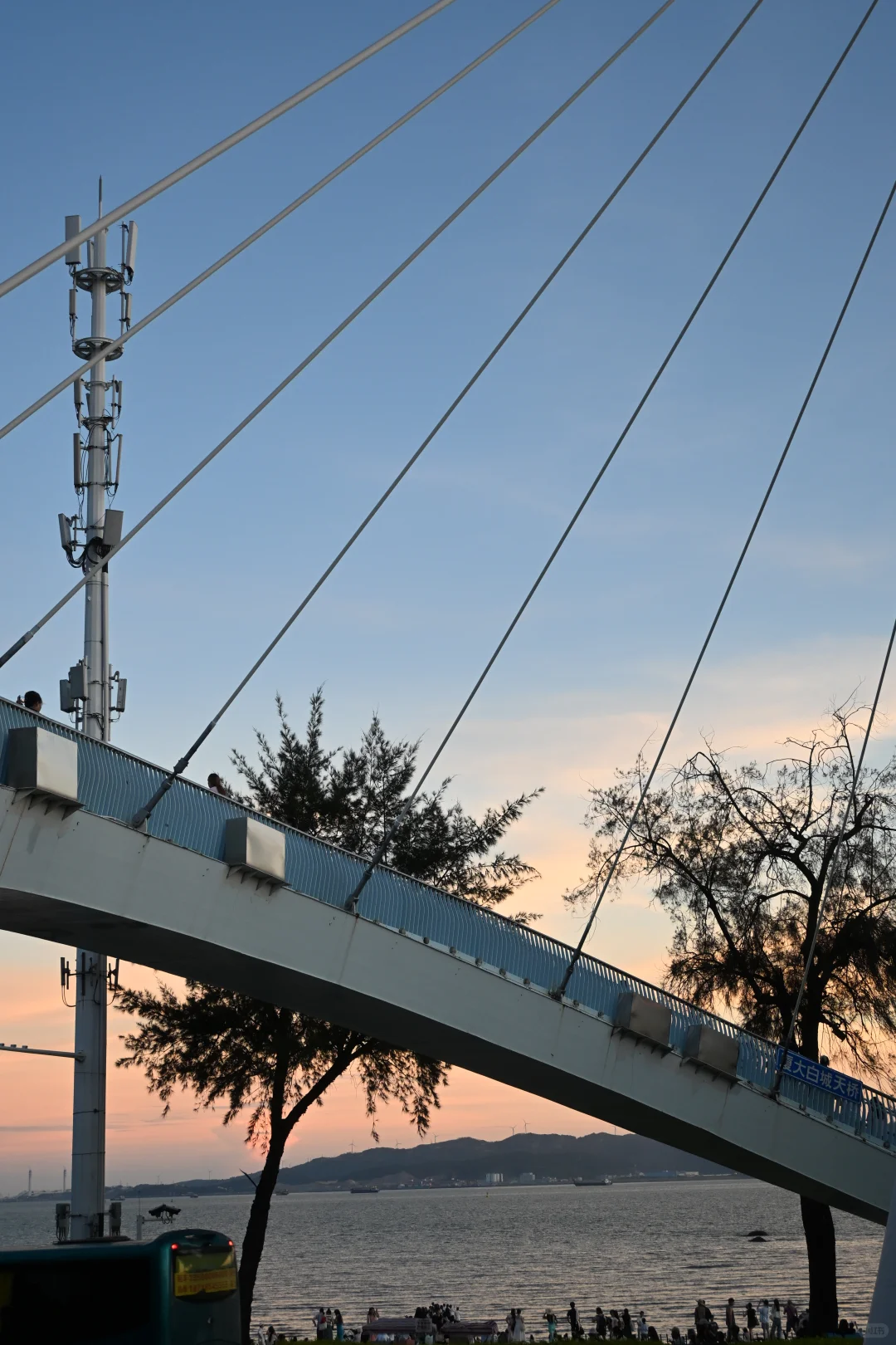 这下谁分得清是夏威夷还是厦门啊