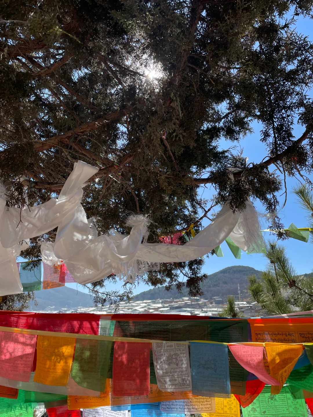 香格里拉漫游录:雪域秘境的呼吸与步履