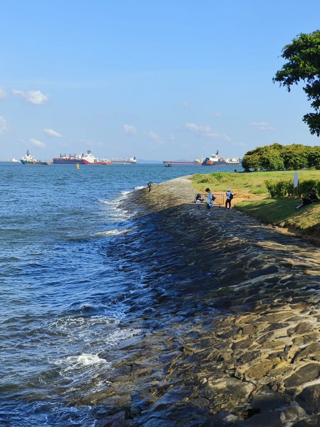 一些新加坡🇸🇬旅行碎片🧩