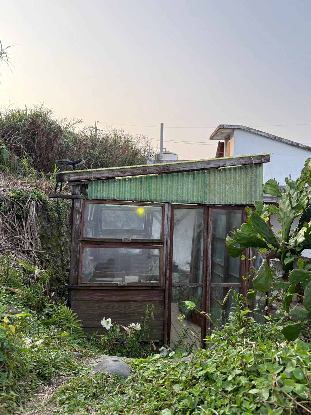 台北｜金山跳石