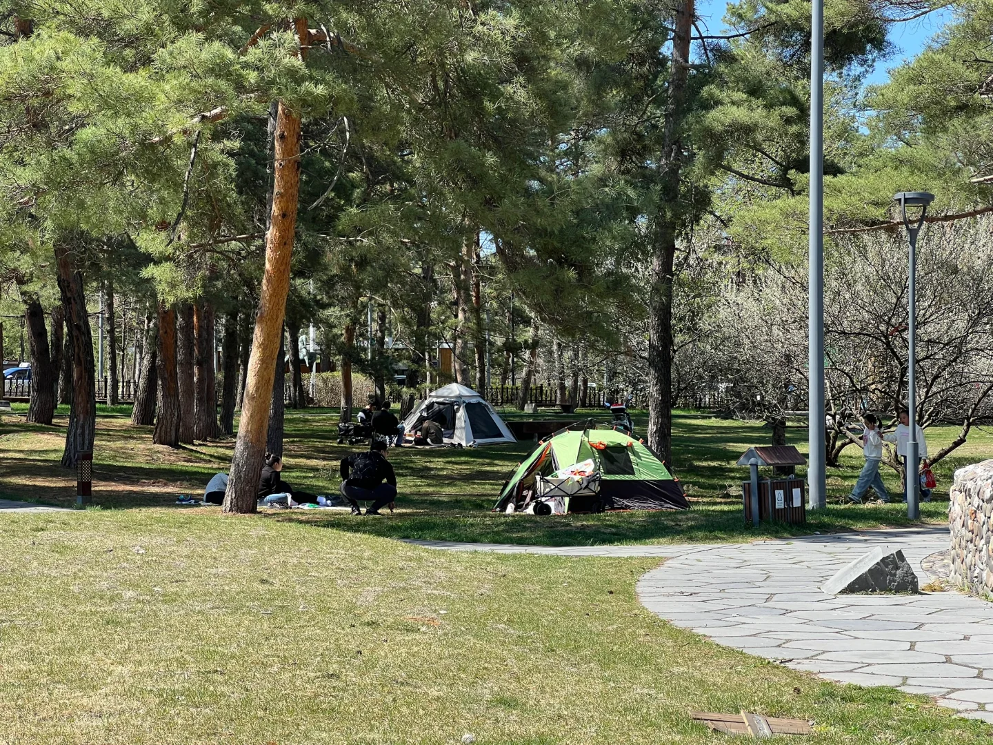 长白山北坡二道白河6月份旅游怎么玩攻略