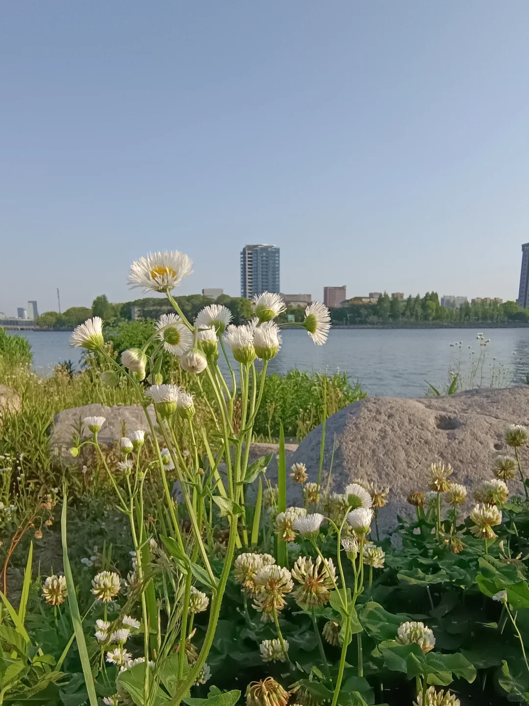 江边公园，好天气散散步吹吹风很治愈