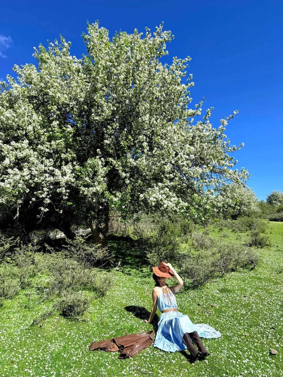 川西三天两晚!姑弄村➕甲根坝,攻略来咯……